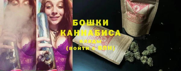 молекула духа Медвежьегорск