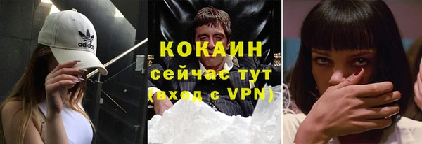 молекула духа Медвежьегорск