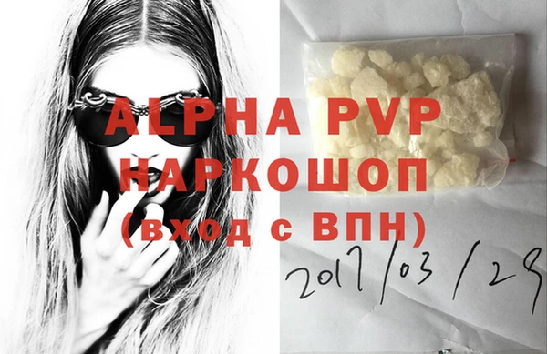 гидра Шадринск