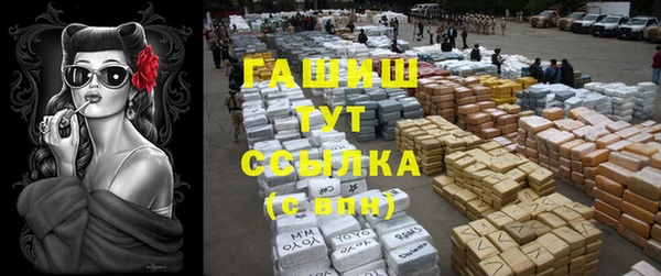 молекула духа Медвежьегорск