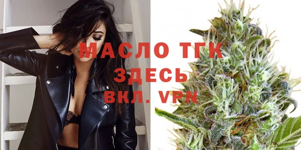молекула духа Медвежьегорск