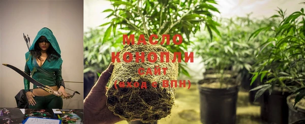 молекула духа Медвежьегорск