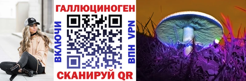 Псилоцибиновые грибы прущие грибы  shop Telegram  Шлиссельбург 